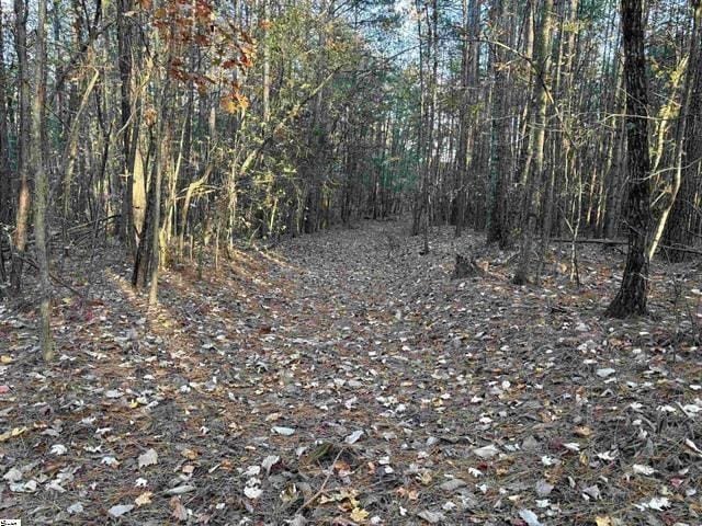 1940 Pleasant Hill Rd Unit B, Greer, SC 29651 - photo 21