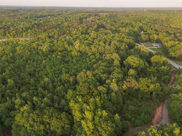 0 Ice House Rd, Enoree, SC 29335 - photo 21