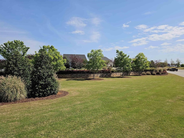 306 Spokane Dr, Greenville, SC 29607 - photo 48