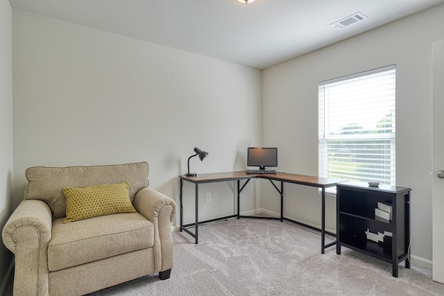 215 Penny Bennett Rd, Spartanburg, SC 29307 - photo 19