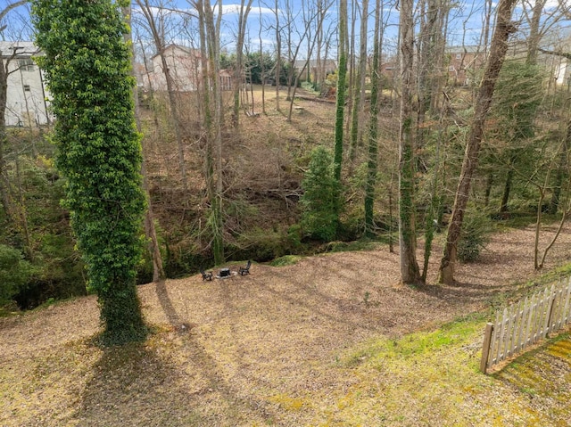 212 Dayside Ct, Greer, SC 29651 - view of nature