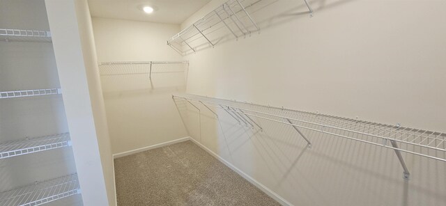 405 Ecton Pl, Greenville, SC 29605 - photo 15