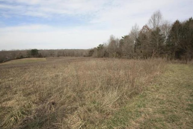 0 Grassy Pond Creek Rd, Gaffney, SC 29341 - photo 1
