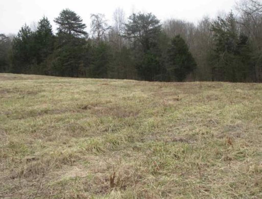 0 Grassy Pond Creek Rd, Gaffney, SC 29341 - photo 2