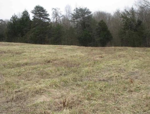 0 Grassy Pond Creek Rd, Gaffney, SC 29341 - photo 2