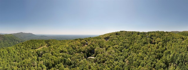 25 Little Falls Dr, Tryon, NC 28782 - photo 8