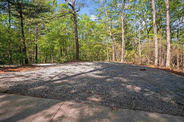 25 Little Falls Dr, Tryon, NC 28782 - photo 39