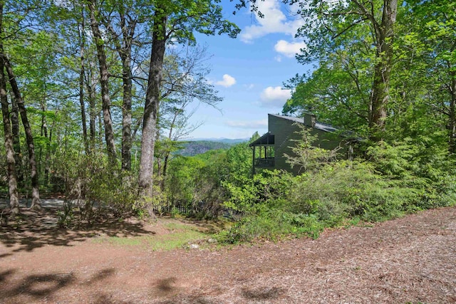 25 Little Falls Dr, Tryon, NC 28782 - photo 40