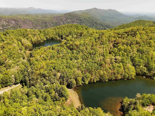 25 Little Falls Dr, Tryon, NC 28782 - photo 44