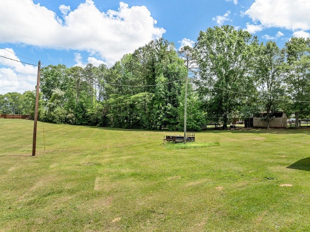 1310 Mount Zion Rd, Spartanburg, SC 29303 - view of green lawn