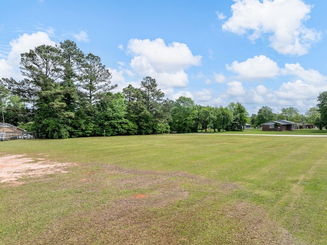 1310 Mount Zion Rd, Spartanburg, SC 29303 - view of green lawn
