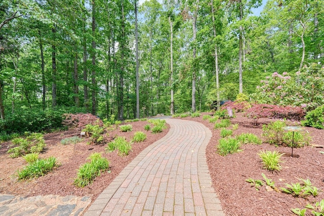 260 Cove Rd, Inman, SC 29349 - view of home's community