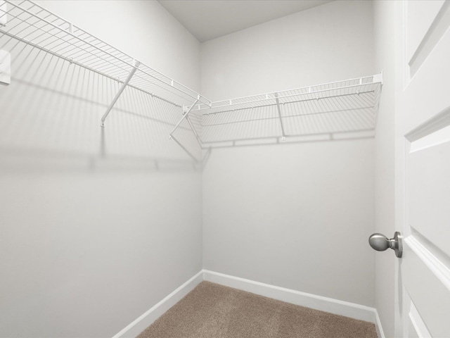 126 Arrow Ct, Greer, SC 29651 - walk in closet featuring carpet