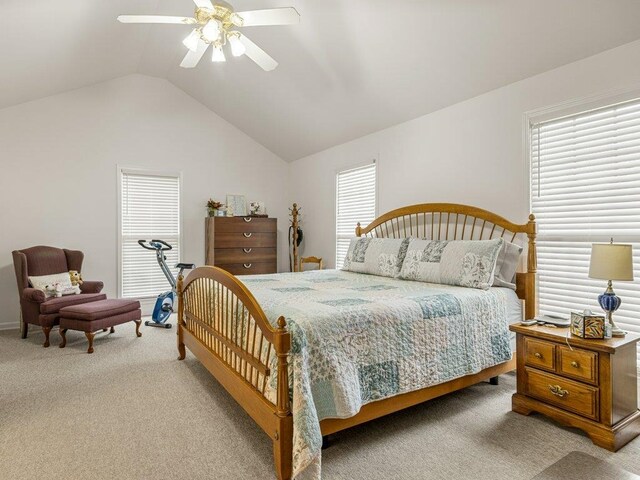 530 Hulon Howard Rd, Landrum, SC 29356 - photo 13
