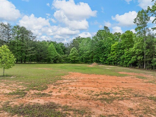 530 Hulon Howard Rd, Landrum, SC 29356 - photo 44