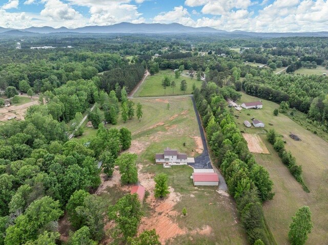 530 Hulon Howard Rd, Landrum, SC 29356 - photo 49