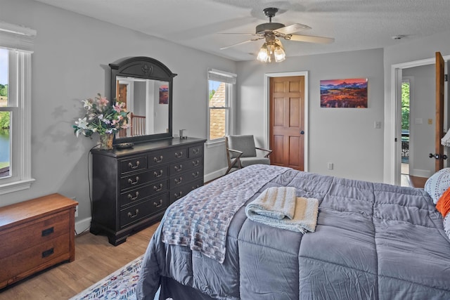 270 Watkins Rd, Campobello, SC 29322 - bedroom with multiple windows, light wood-style floors, and ceiling fan