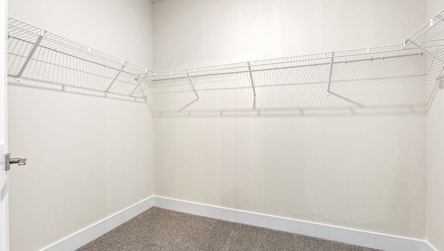 310 Fiery Rd, Mauldin, SC 29607 - walk in closet with carpet flooring