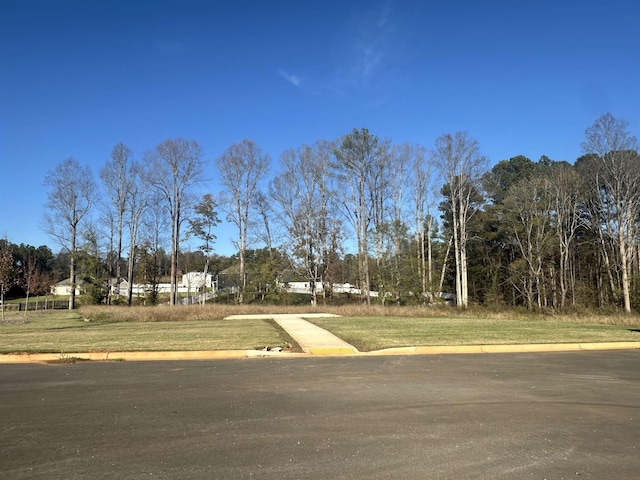 903 Gibbons Ln, Wellford, SC 29385 - photo 38