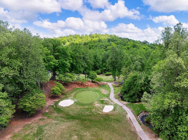 154 Broken Bow Run, Pickens, SC 29671 - aerial overview of property's location