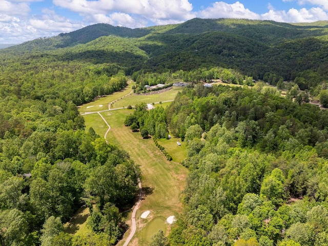 154 Broken Bow Run, Pickens, SC 29671 - aerial view of a heavily wooded area and mountains