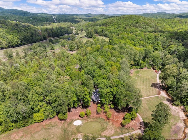 154 Broken Bow Run, Pickens, SC 29671 - aerial view of a forest