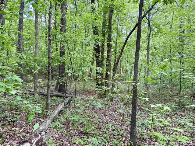 128 Sweetbriar Trl, Westminster, SC 29693 - photo 10