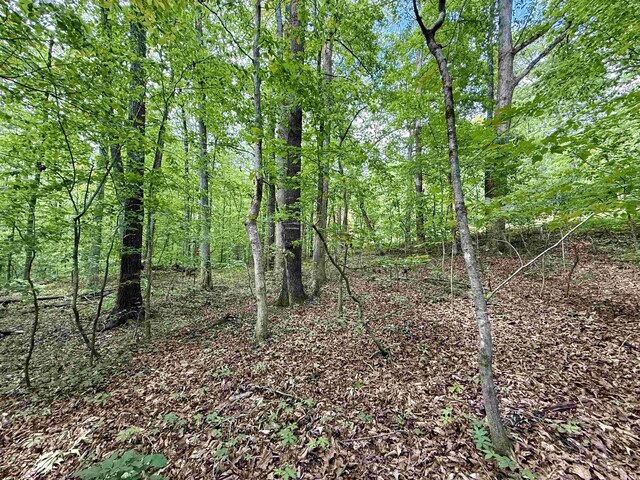 128 Sweetbriar Trl, Westminster, SC 29693 - photo 6