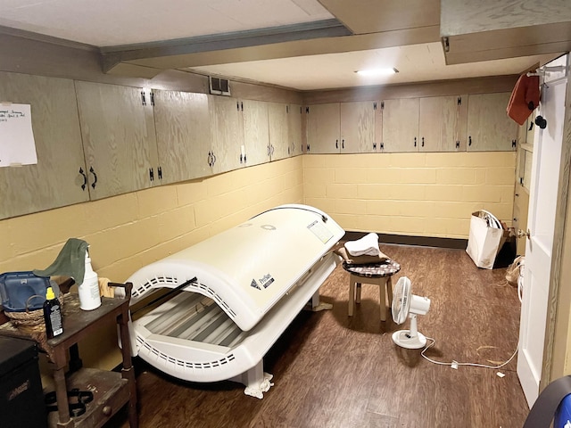 510 E Earle St, Landrum, SC 29356 - miscellaneous room with dark wood-style floors and concrete block wall