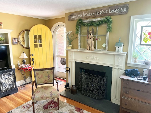 510 E Earle St, Landrum, SC 29356 - living area featuring wood finished floors, a fireplace with raised hearth, ornamental molding, and a textured ceiling