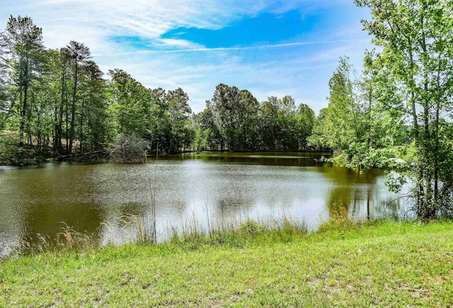0 Redland Rd, Campobello, SC 29322 - photo 2