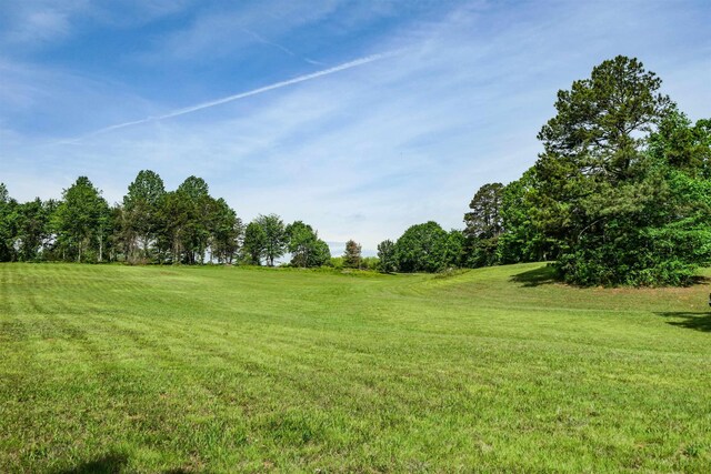 0 Redland Rd, Campobello, SC 29322 - photo 3