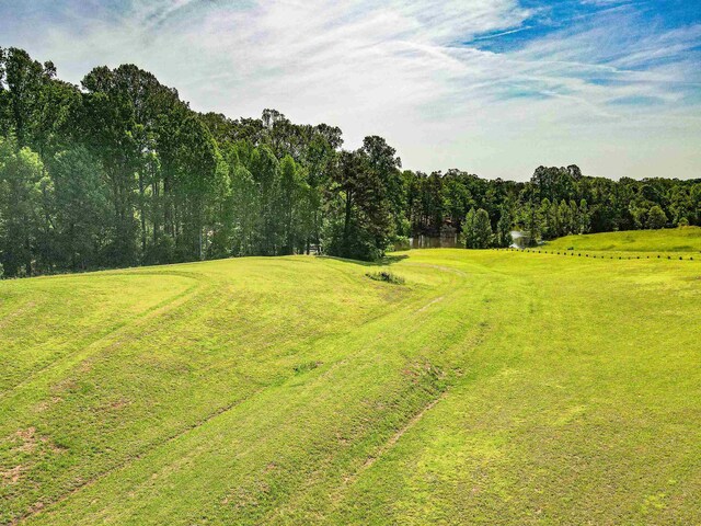 0 Redland Rd, Campobello, SC 29322 - photo 5