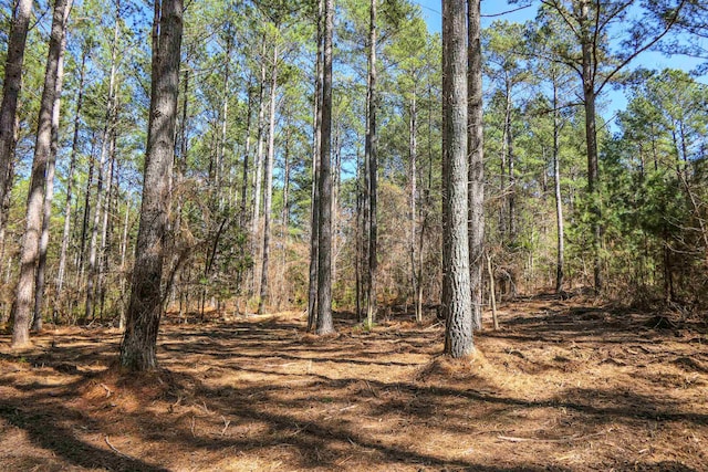 0 Asbury Rd, Pacolet, SC 29372 - photo 6