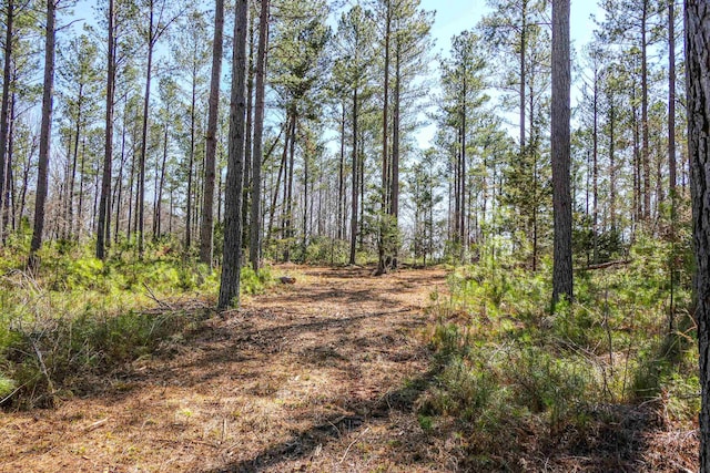 0 Asbury Rd, Pacolet, SC 29372 - photo 8
