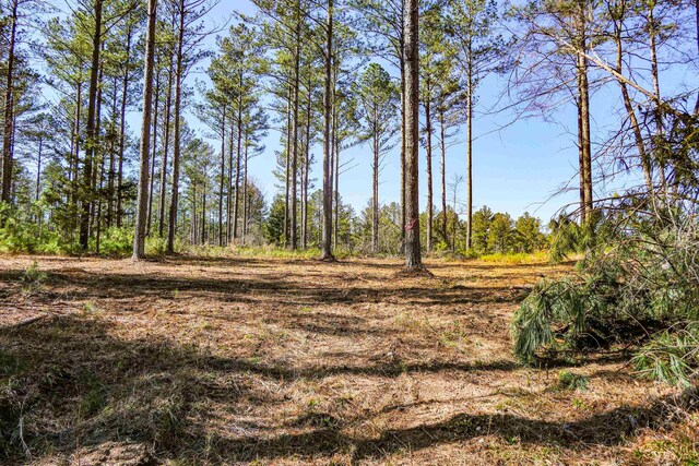 0 Asbury Rd, Pacolet, SC 29372 - photo 9
