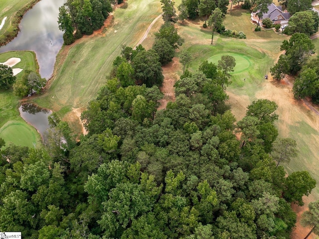397 Tournament Pt, Duncan, SC 29334 - photo 2
