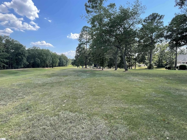 397 Tournament Pt, Duncan, SC 29334 - photo 6