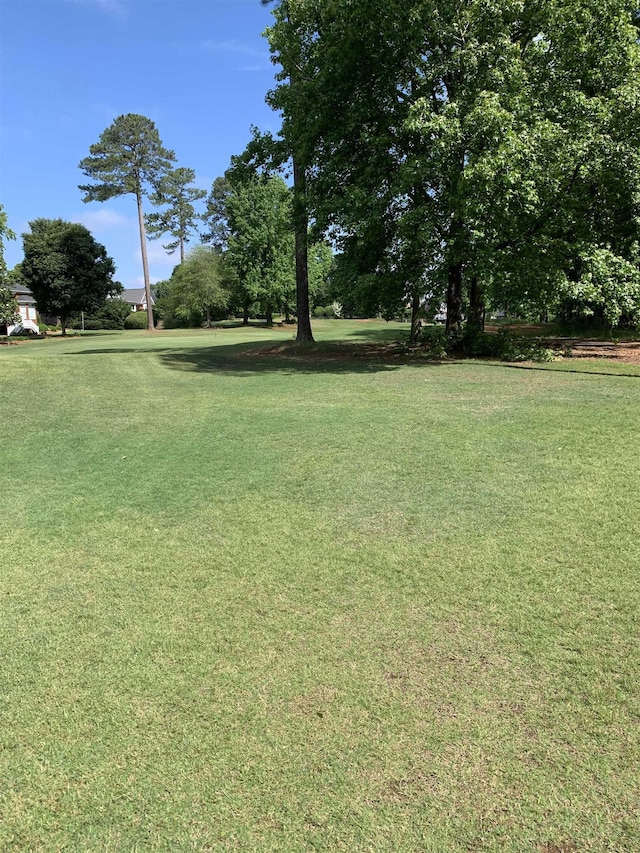 397 Tournament Pt, Duncan, SC 29334 - photo 11