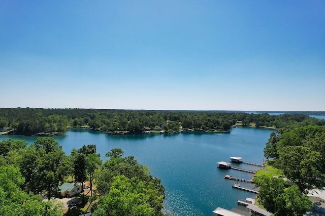 877 Lakeshore Dr, Cross Hill, SC 29332 - photo 6