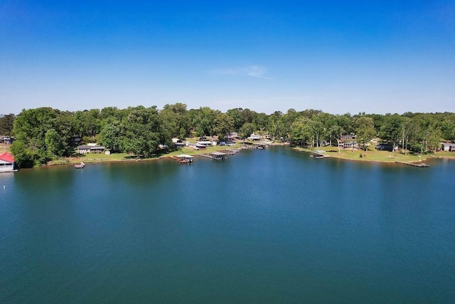 877 Lakeshore Dr, Cross Hill, SC 29332 - photo 30