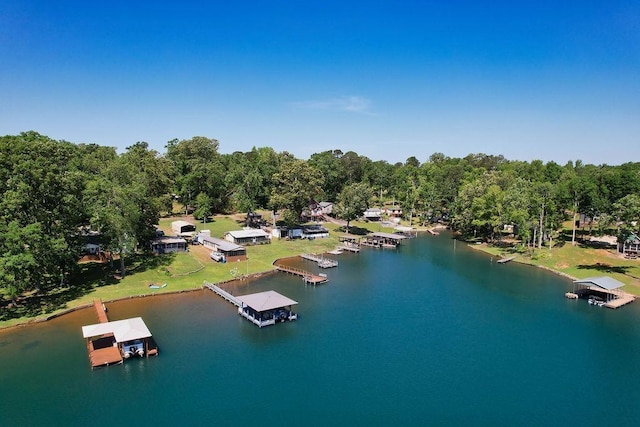 877 Lakeshore Dr, Cross Hill, SC 29332 - photo 31
