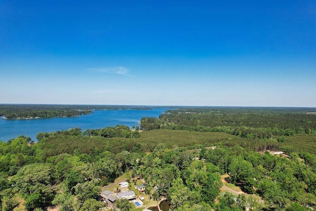 877 Lakeshore Dr, Cross Hill, SC 29332 - photo 32