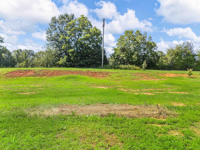 433 Josie Way, Boiling Springs, SC 29316 - view of yard featuring a rural view