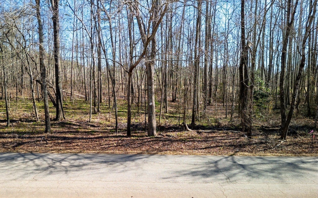 00 Broken Arrow Dr, Pelzer, SC 29669 - photo 1