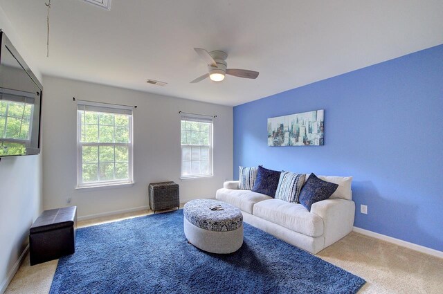 9 Emporia Ct, Fountain Inn, SC 29644 - photo 30