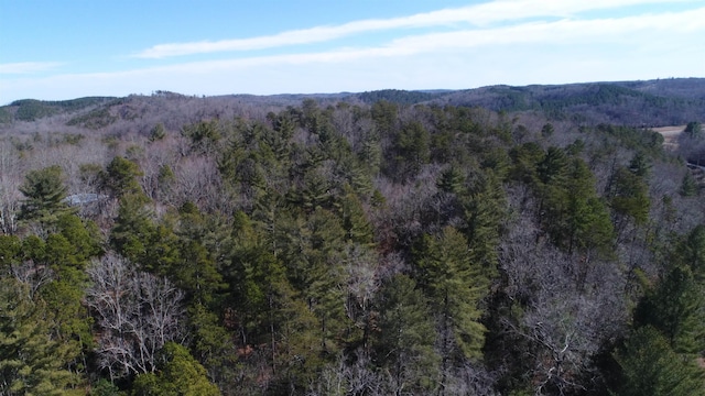 00 Big Level Rd, Mill Spring, NC 28756 - photo 9