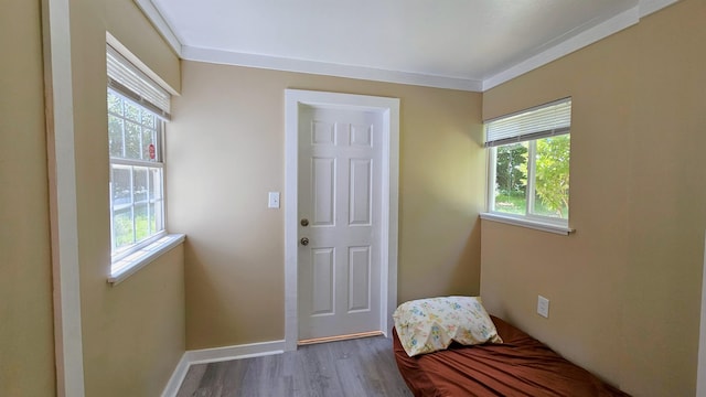 311 Hart St, Union, SC 29379 - doorway featuring plenty of natural light, wood finished floors, and ornamental molding