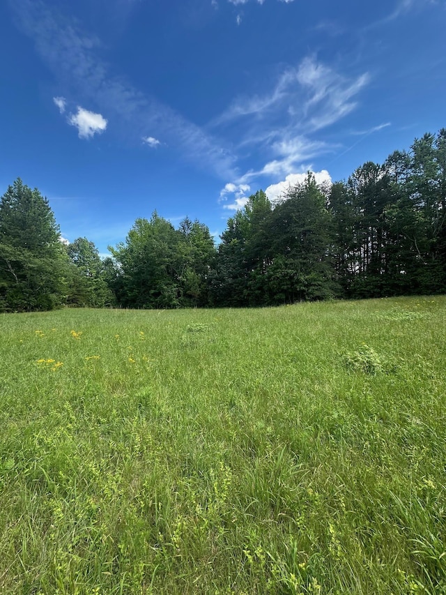 301 Sweet Gum Rd, Spartanburg, SC 29307 - photo 3