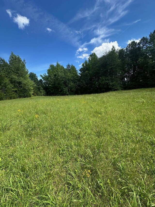 301 Sweet Gum Rd, Spartanburg, SC 29307 - photo 6
